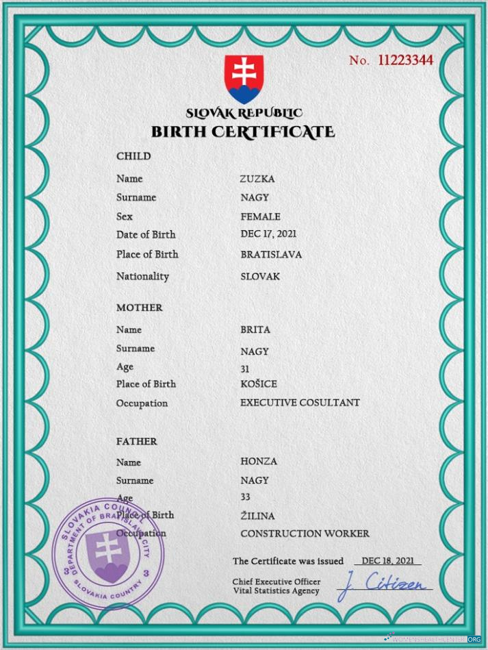 Download Slovakia birth certificate PSD template Photoshop template